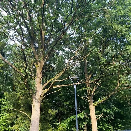 Ferienhaus Dubryk Na Kaszubach Stara Kiszewa