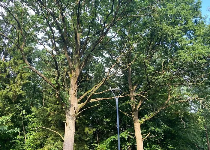 Casa vacanze Dubryk Na Kaszubach Stara Kiszewa