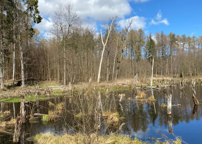 Dubryk Na Kaszubach * Stara Kiszewa